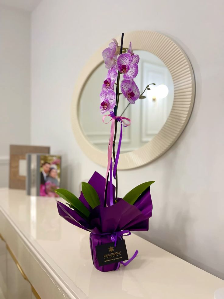 Vaso de Orquídea Roxa