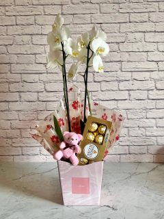 Combo Orquídea Branca + Chocolate + Pelúcia + Vaso