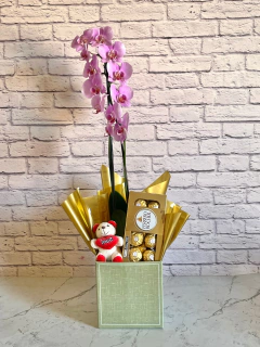 Combo Orquídea Rosa + Chocolate + Pelúcia + Vaso