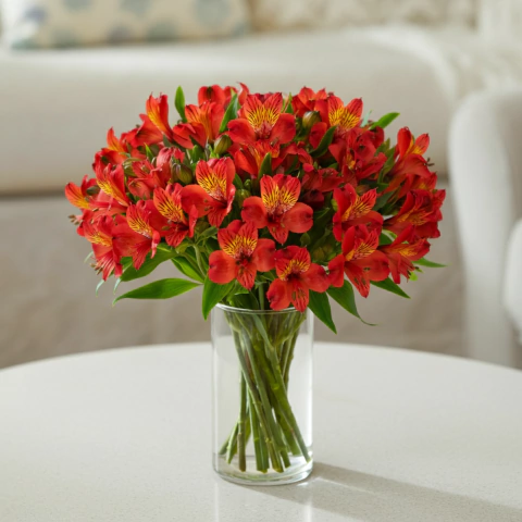 Bouquet Alstroemérias vermelhas